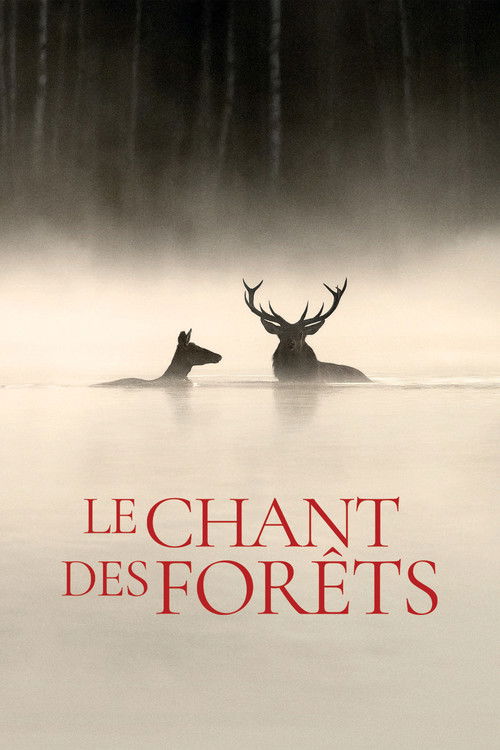 Le chant des forêts - Plakat
