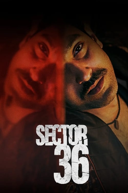 Sektor 36 - Plakat