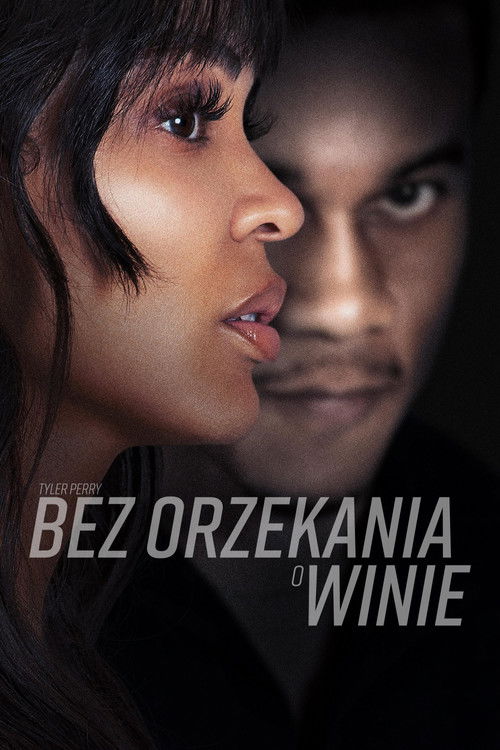 Tyler Perry: Bez orzekania o winie - Plakat